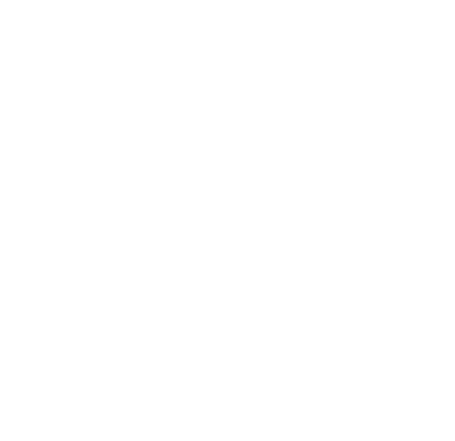 World globe logo